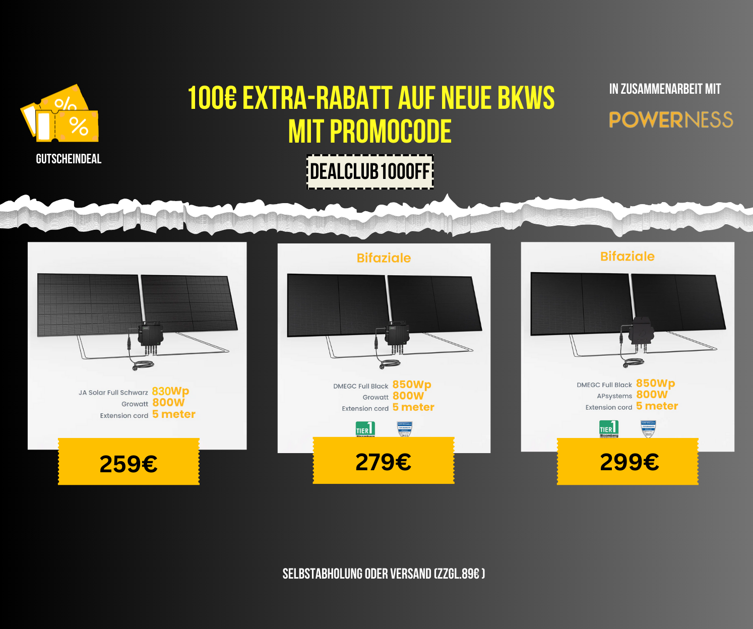 100€ Gutschein Powerness BKWs